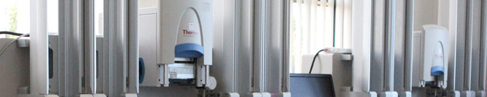 Interior Banner 5